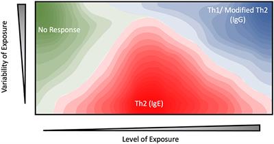 Abundance and Stability as Common Properties of Allergens